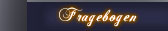 Fragebogen